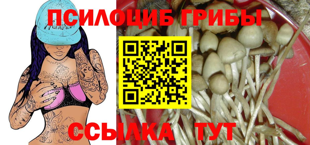Псилоцибиновые грибы мицелий Саранск